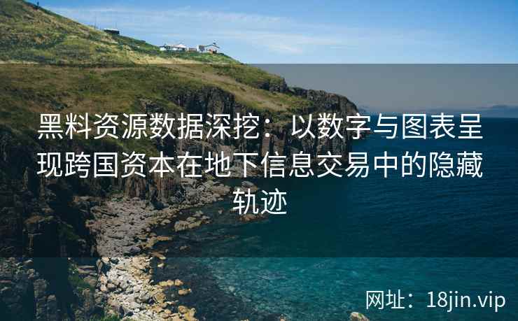 黑料资源数据深挖：以数字与图表呈现跨国资本在地下信息交易中的隐藏轨迹