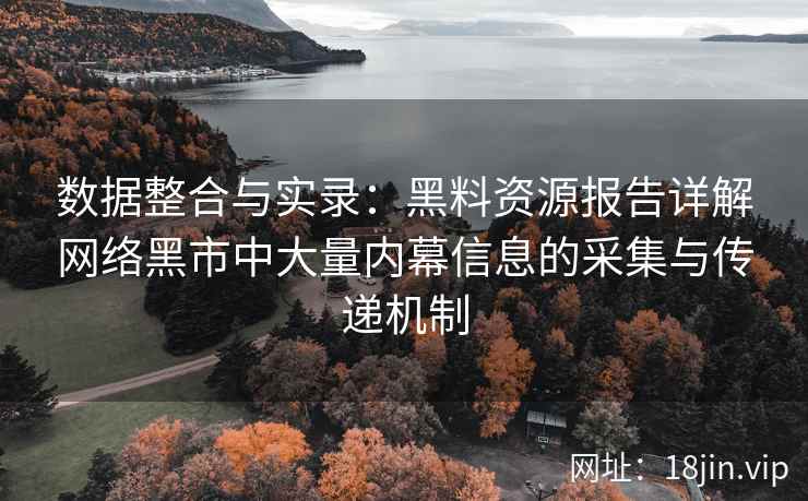 数据整合与实录：黑料资源报告详解网络黑市中大量内幕信息的采集与传递机制